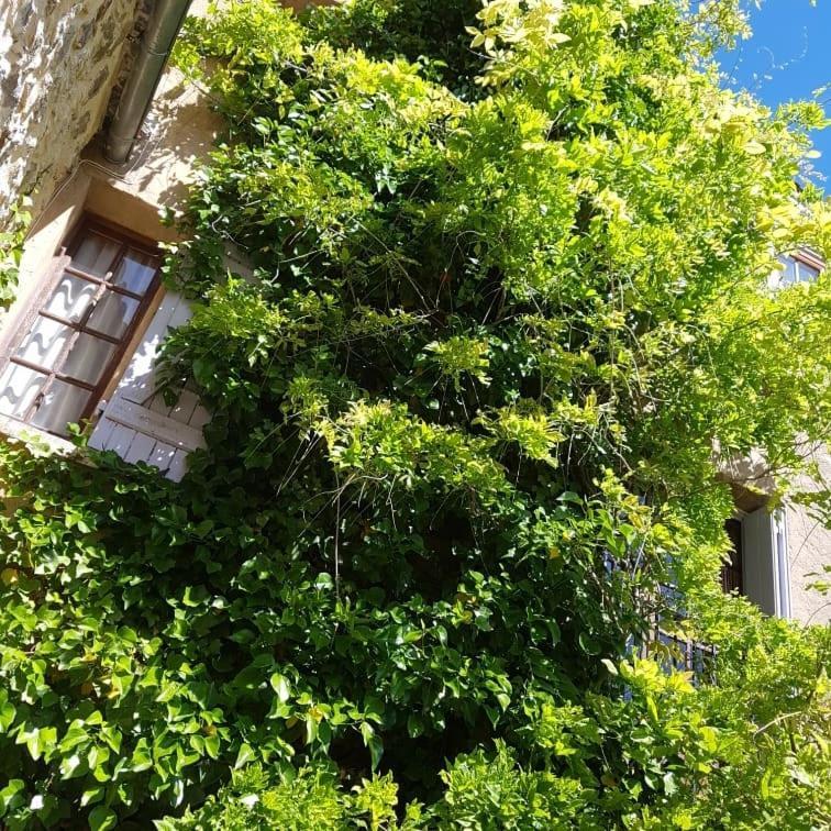 Le Balcon Apartment Camps-sur-l'Agly Exterior photo